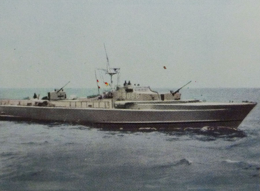 Schiff Pelikan