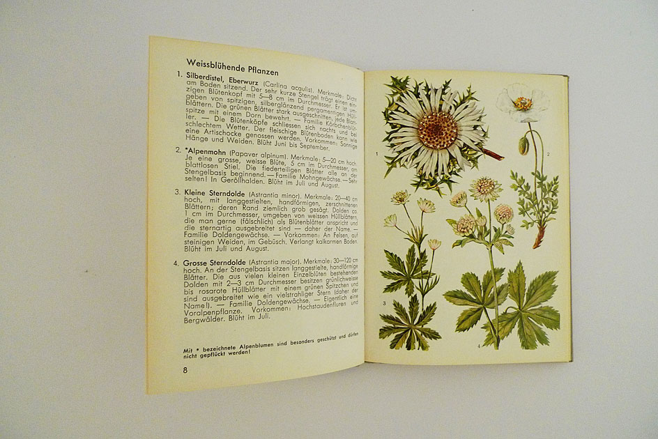 Hallwag Taschenbuch – Alpenblumen I