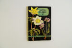 Hallwag Taschenbuch - Alpenblumen II