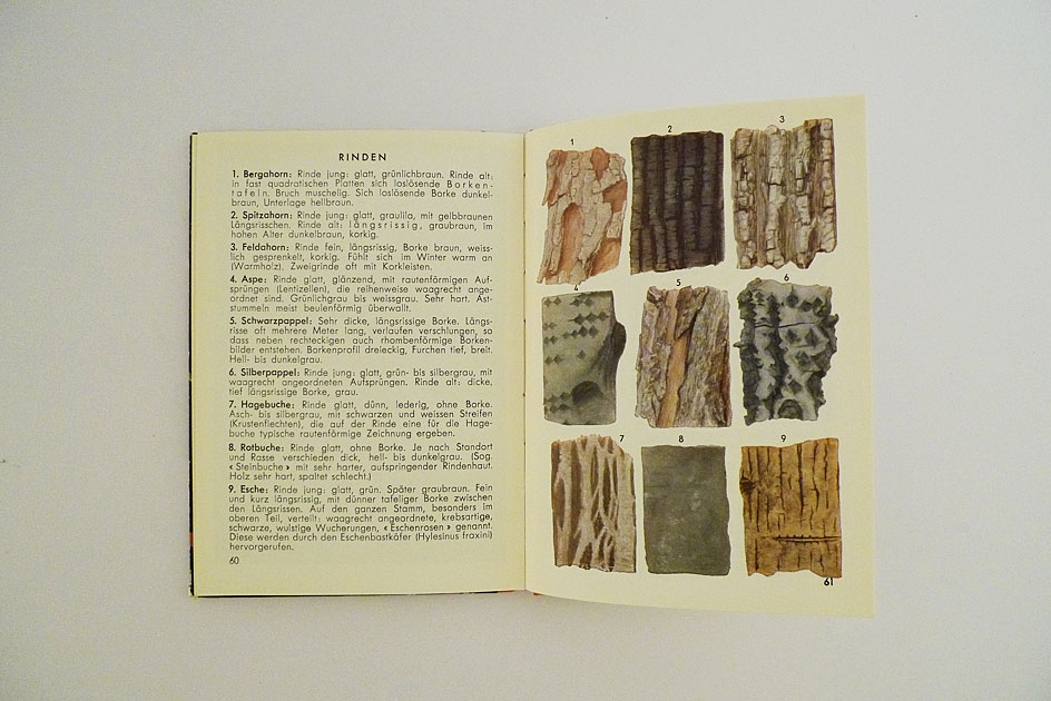 Hallwag Taschenbuch – Bäume und Sträucher