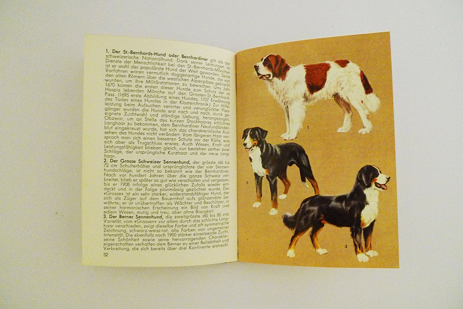 Hallwag Taschenbuch – Unsere Hunde