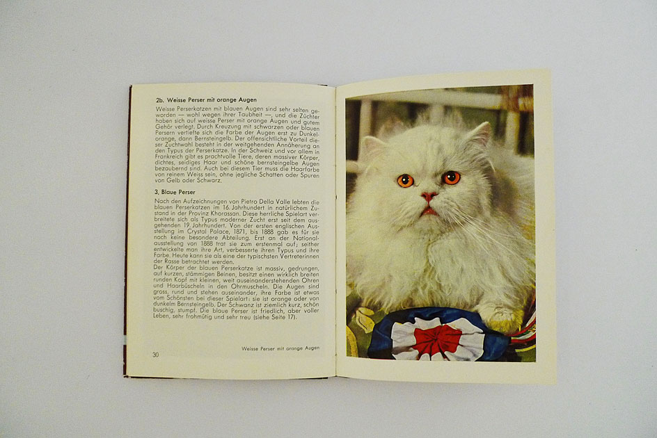 Hallwag Taschenbuch – Unsere Katzen