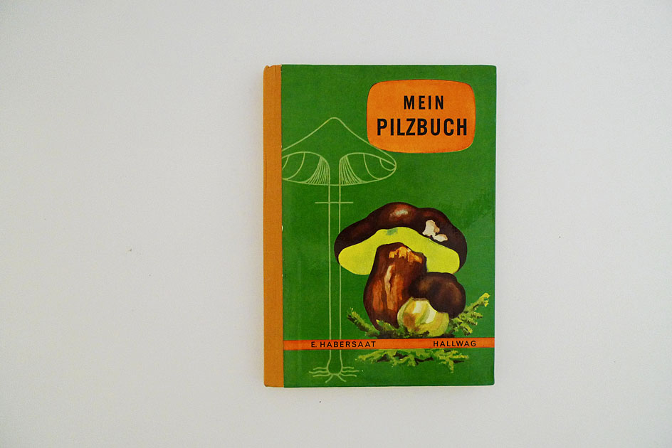 Hallwag Taschenbuch – Mein Pilzbuch