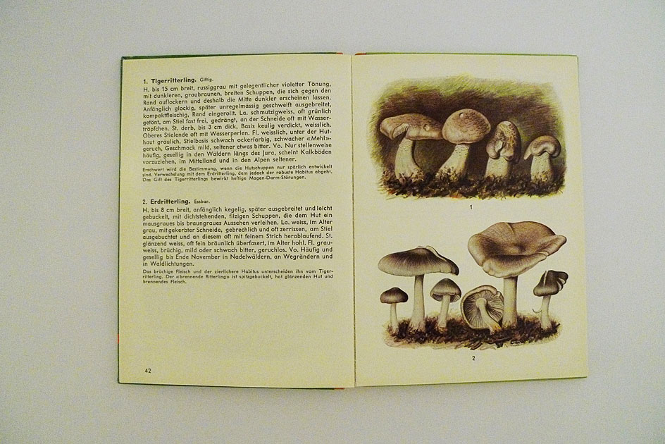 Hallwag Taschenbuch – Mein Pilzbuch