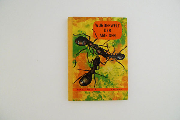 Hallwag Taschenbuch - Wunderwelt der Ameisen