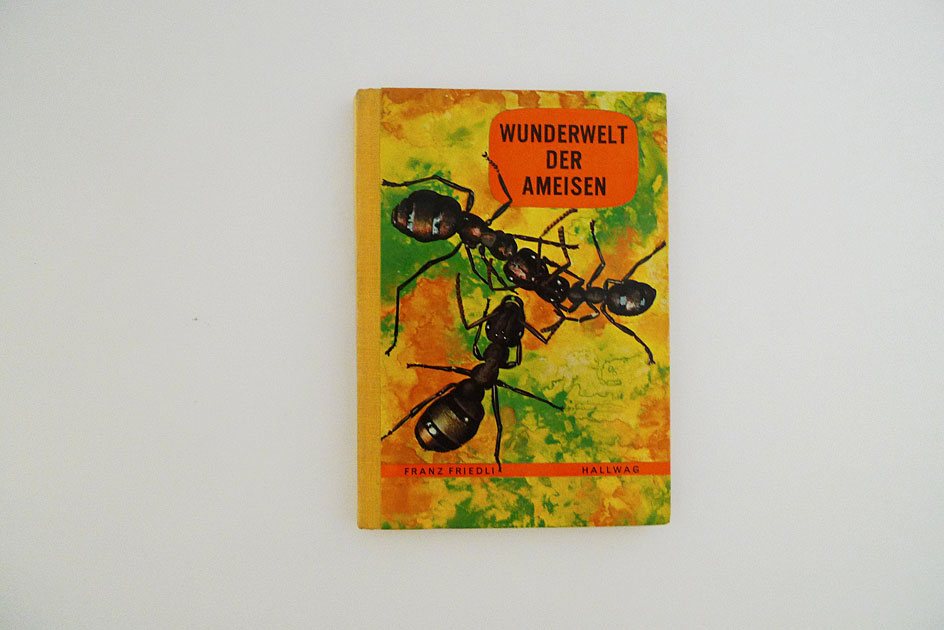 Hallwag Taschenbuch – Wunderwelt der Ameisen