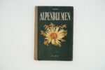 Alpenblumen