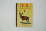 Tiere in Feld und Wald