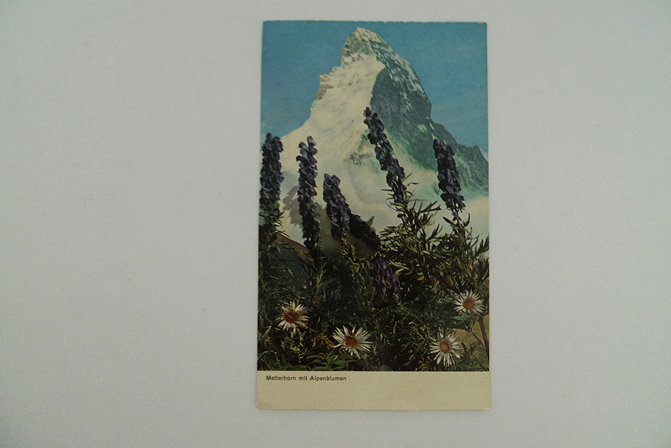 Matterhorn mit Alpenblumen