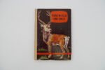 Tiere in Feld und Wald