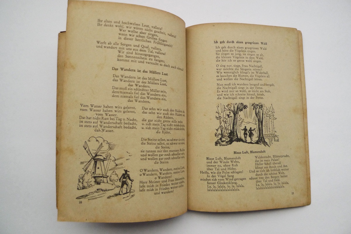 Im schönsten Wiesengrunde