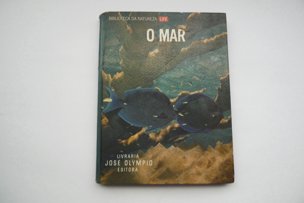 O Mar