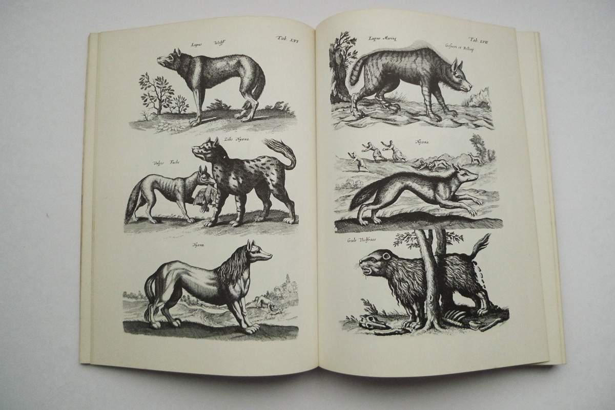 Merians Welt der Tiere