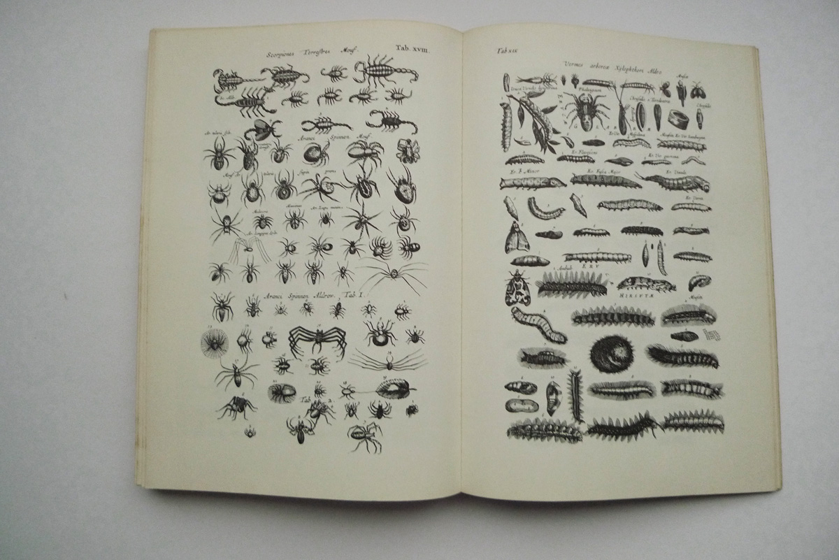 Merians Welt der Tiere
