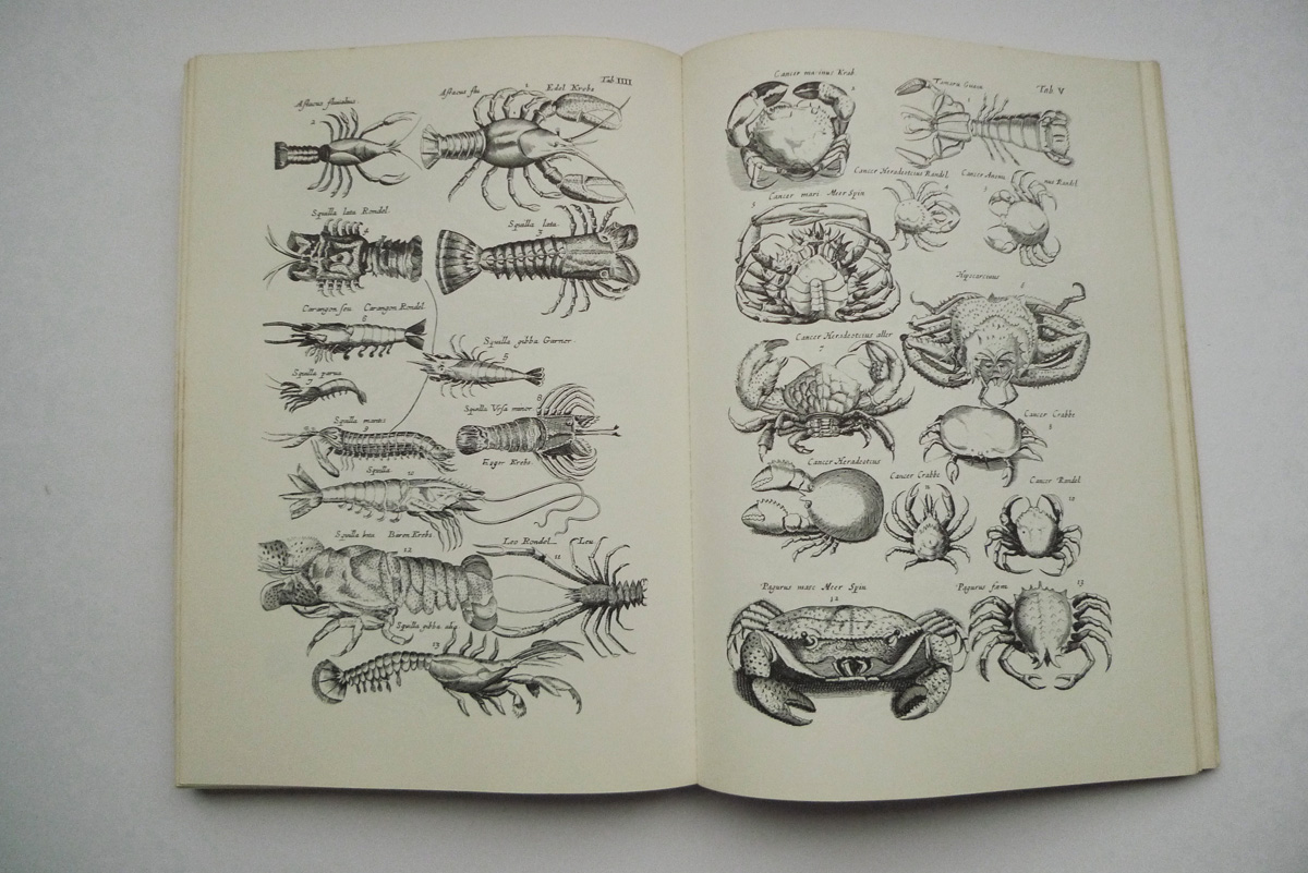Merians Welt der Tiere