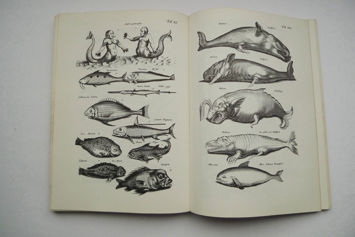 Merians Welt der Tiere