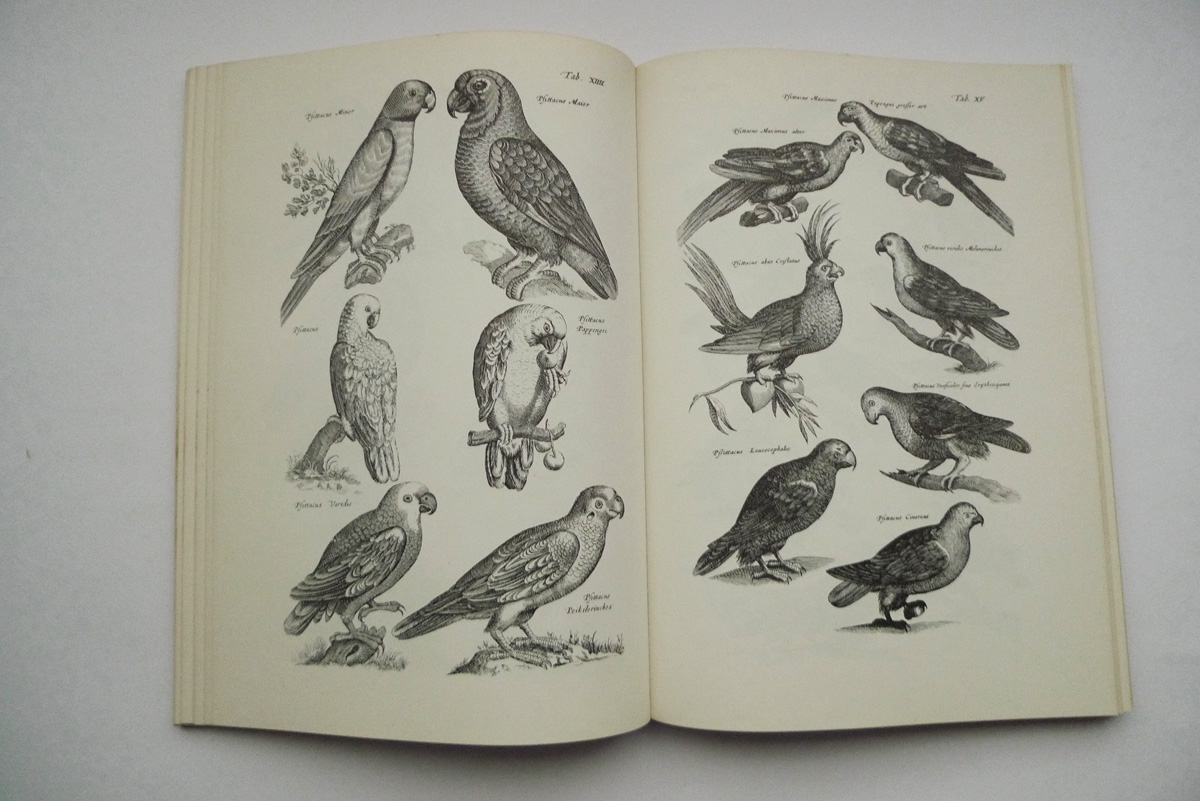 Merians Welt der Tiere