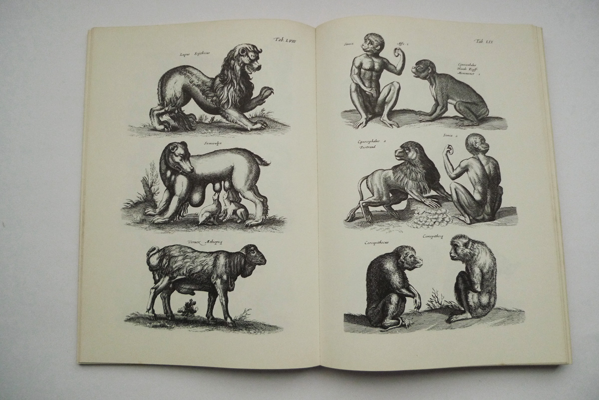 Merians Welt der Tiere