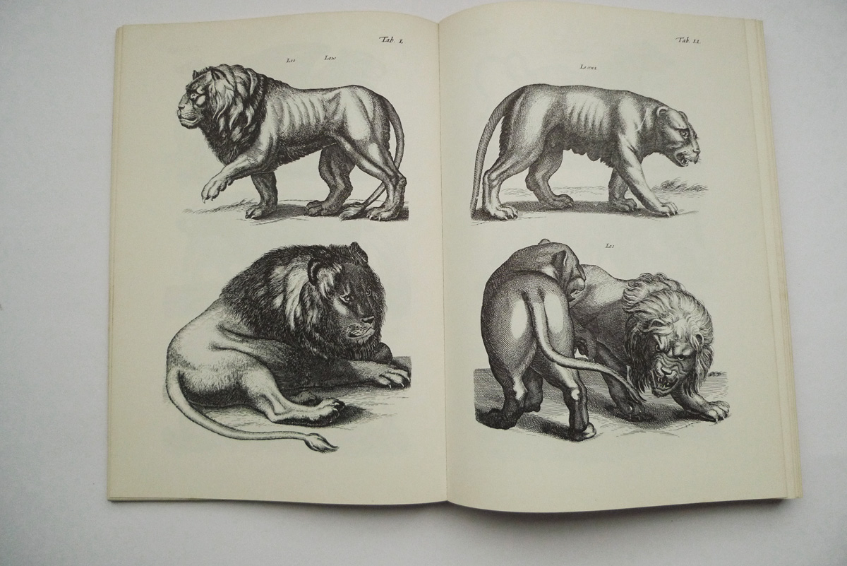 Merians Welt der Tiere