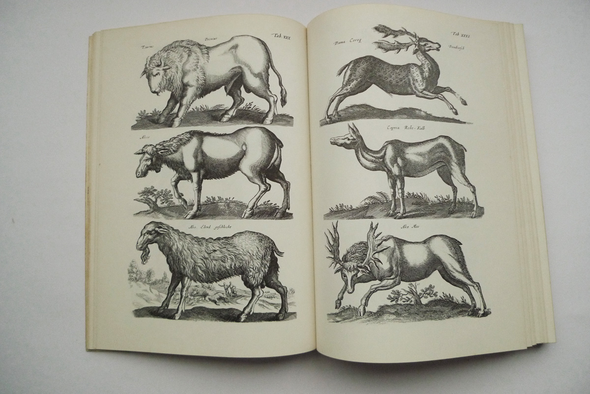Merians Welt der Tiere