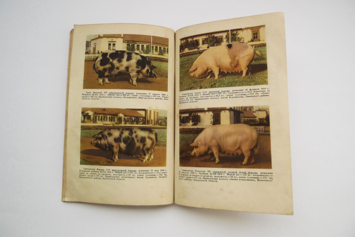 Russische Zeitschrift zu Landwirtschaft