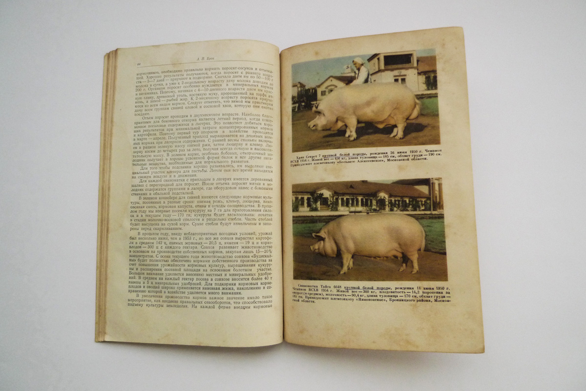 Russische Zeitschrift zu Landwirtschaft