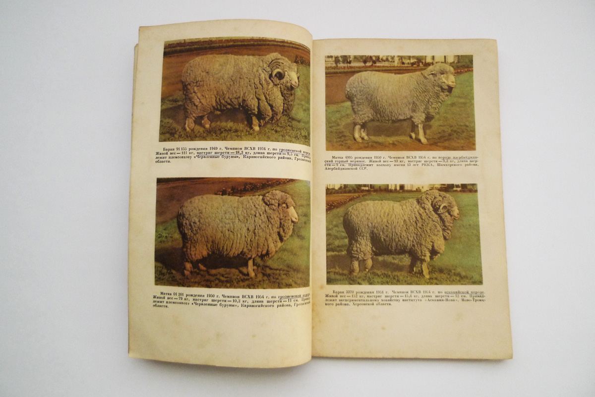 Russische Zeitschrift zu Landwirtschaft