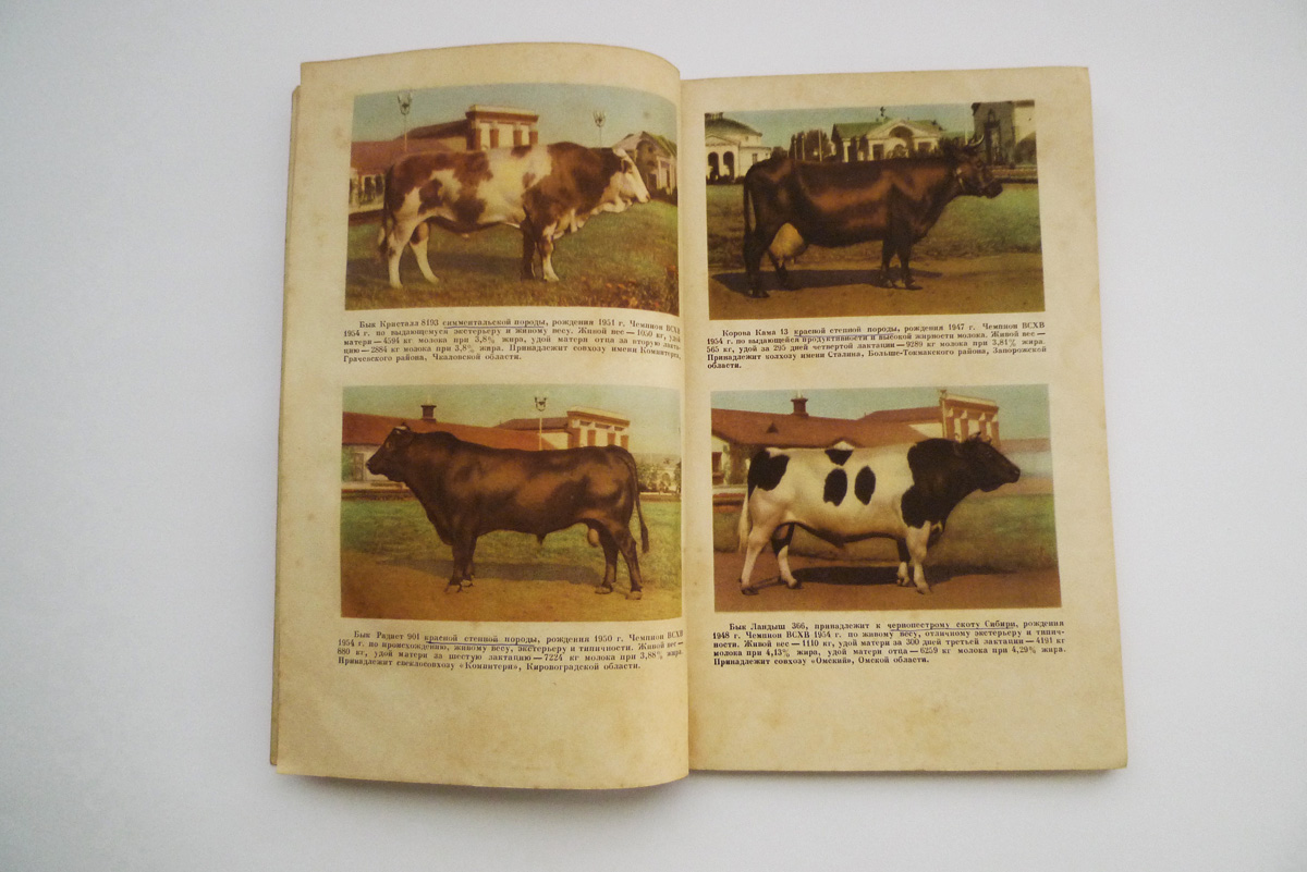 Russische Zeitschrift zu Landwirtschaft