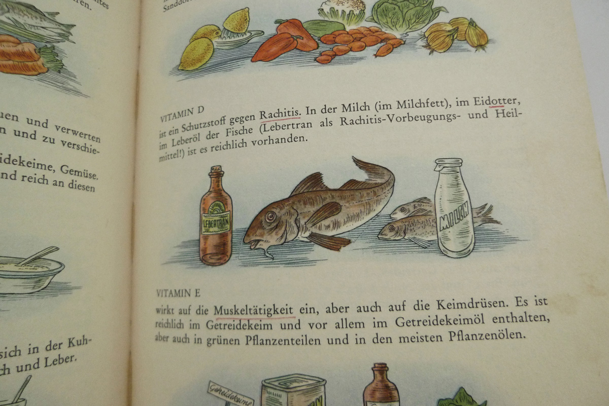 Das Hausbuch der Frau