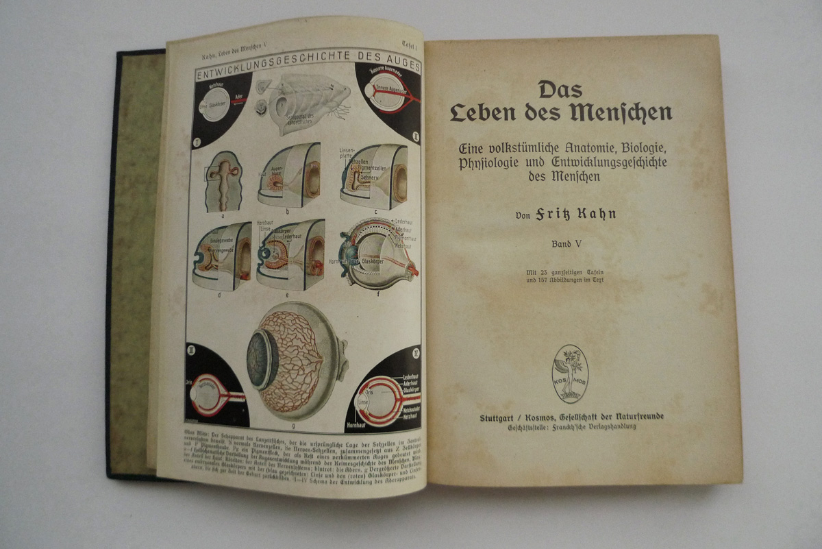 Das Leben des Menschen; Band V