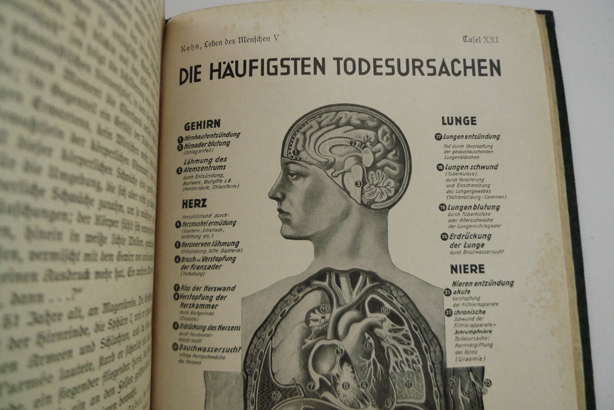 Das Leben des Menschen; Band V