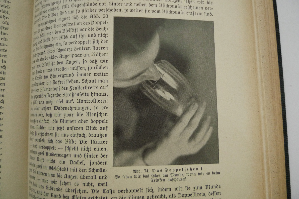 Das Leben des Menschen; Band V