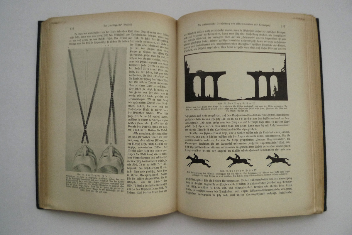 Das Leben des Menschen; Band V