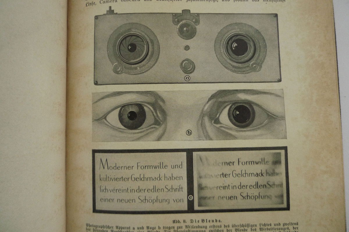 Das Leben des Menschen; Band V