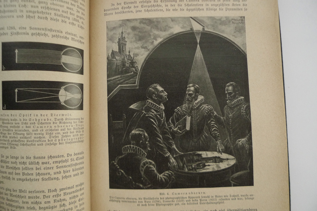 Das Leben des Menschen; Band V