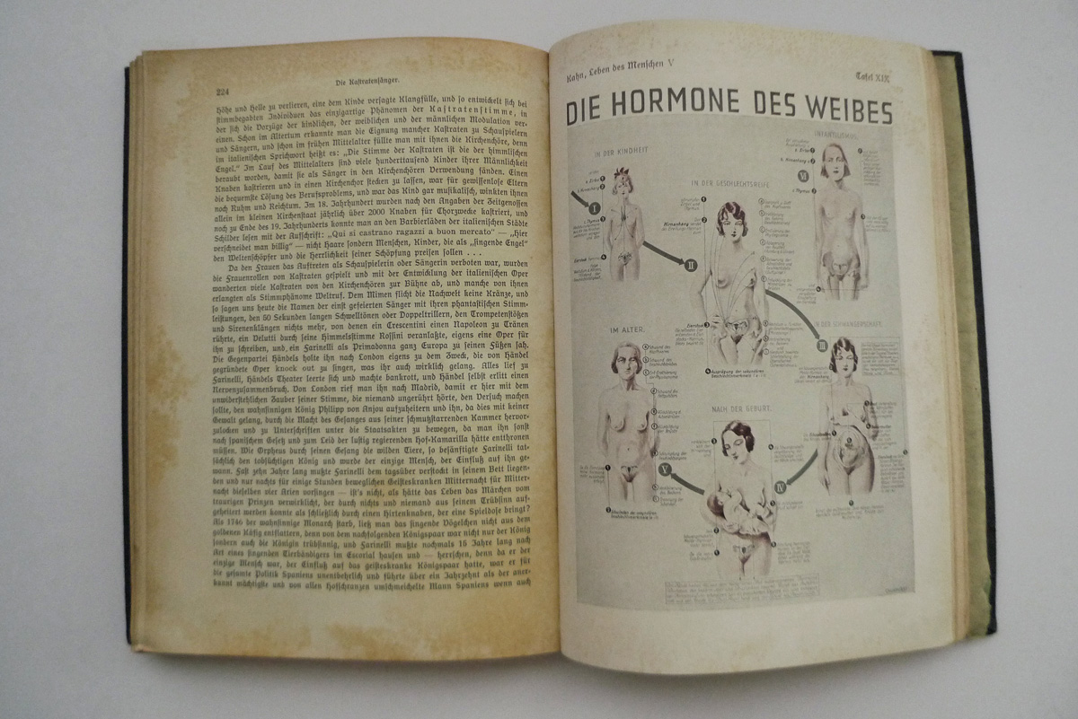 Das Leben des Menschen; Band V