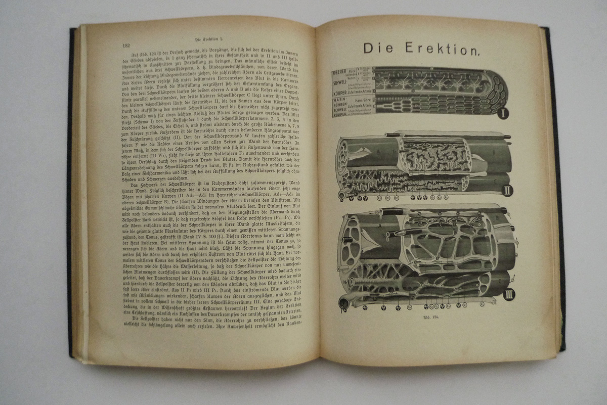 Das Leben des Menschen; Band V