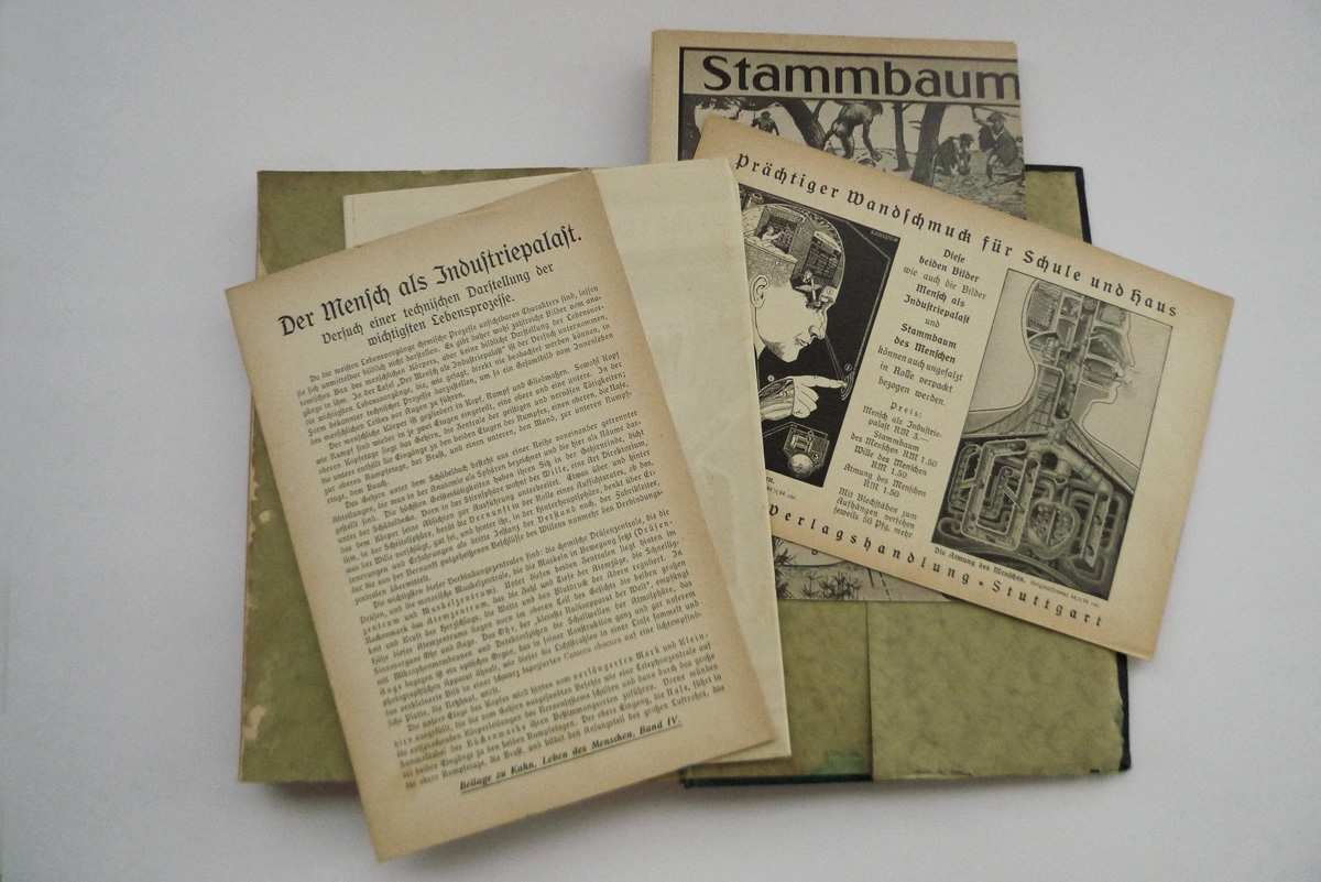 Das Leben des Menschen; Band V