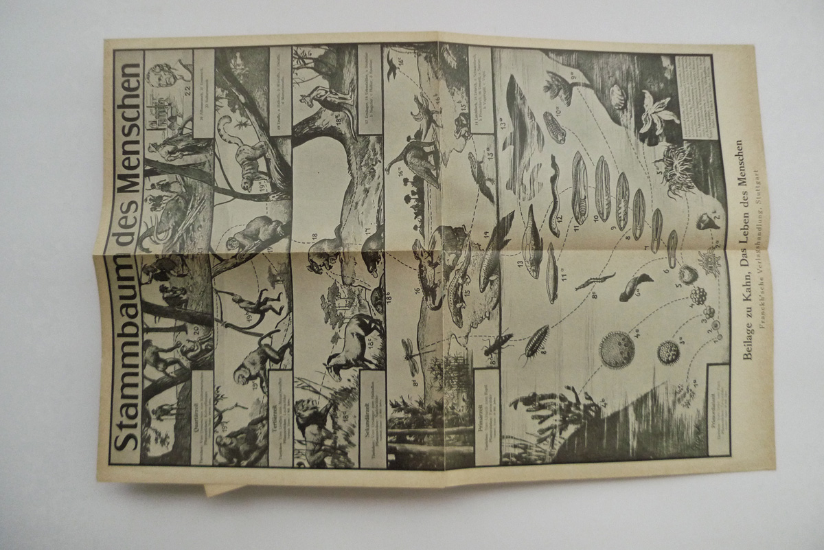 Das Leben des Menschen; Band V