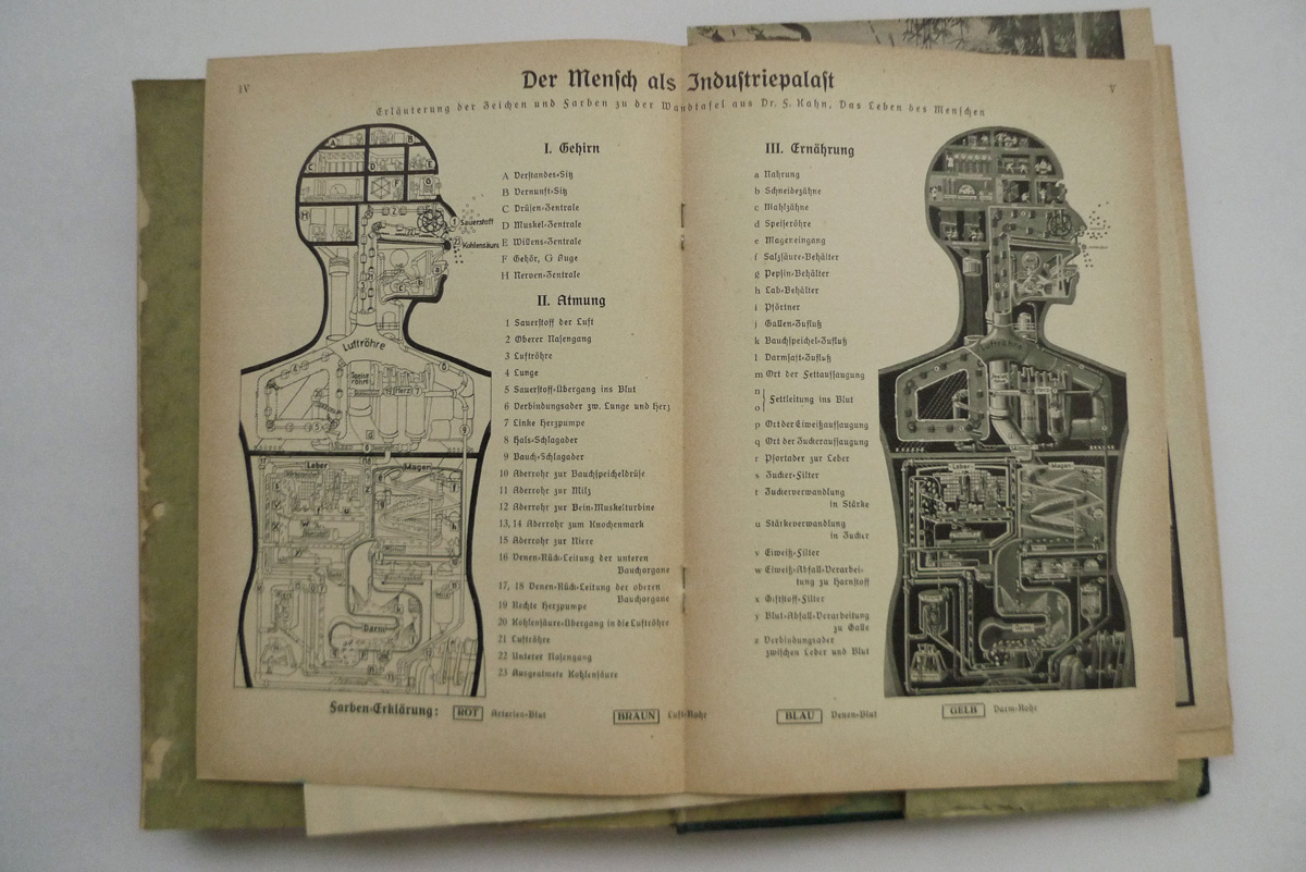 Das Leben des Menschen; Band V