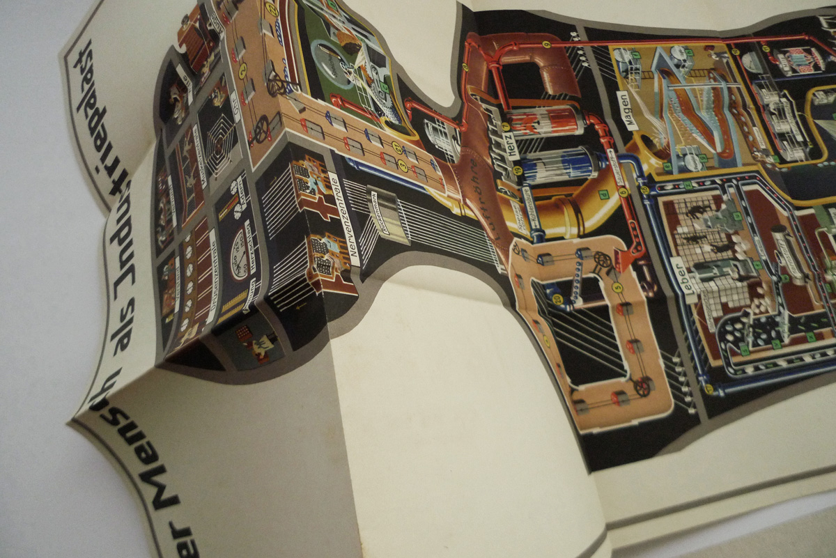 Das Leben des Menschen; Band V