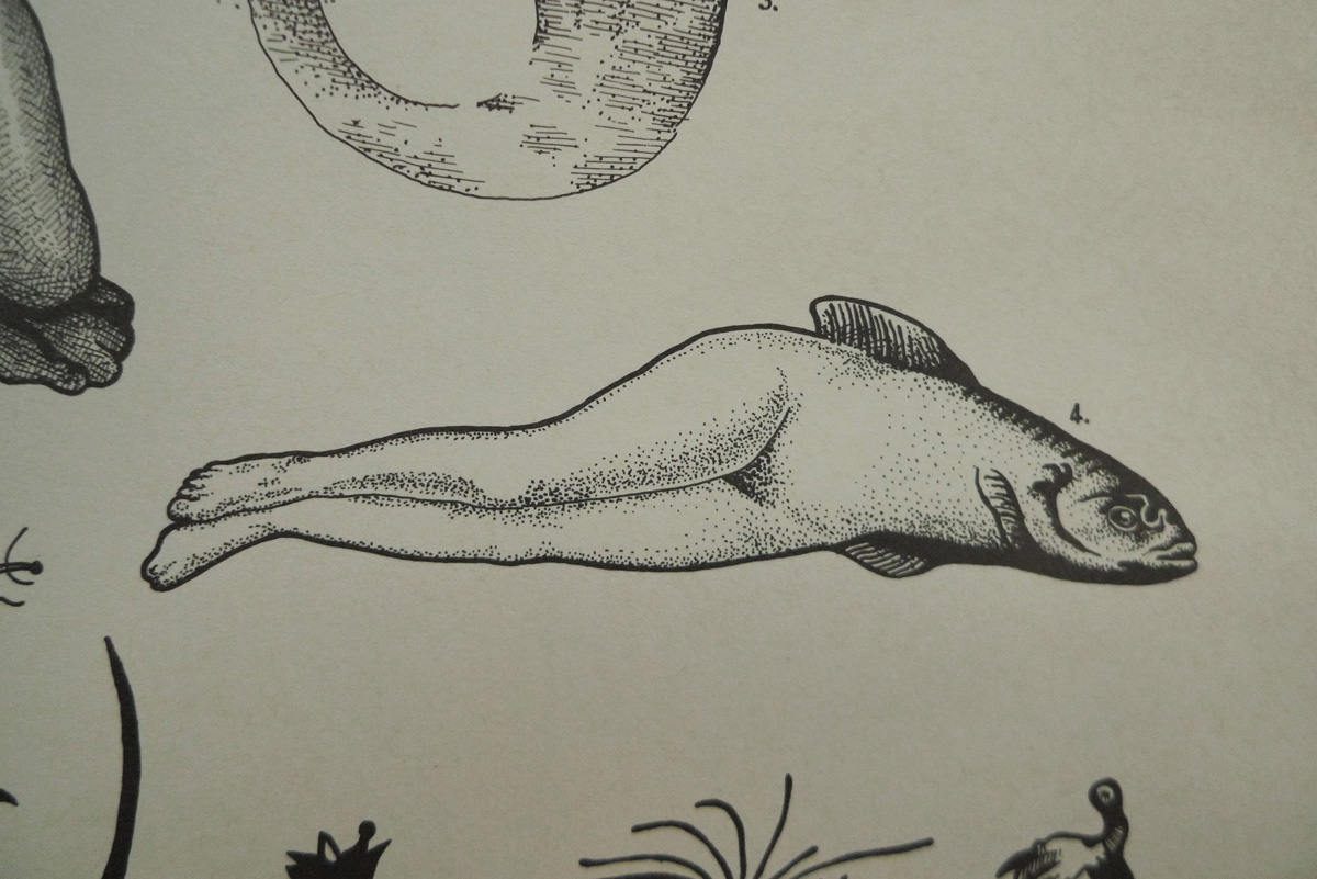 Treasury of Fantastic and Mythological Creatures