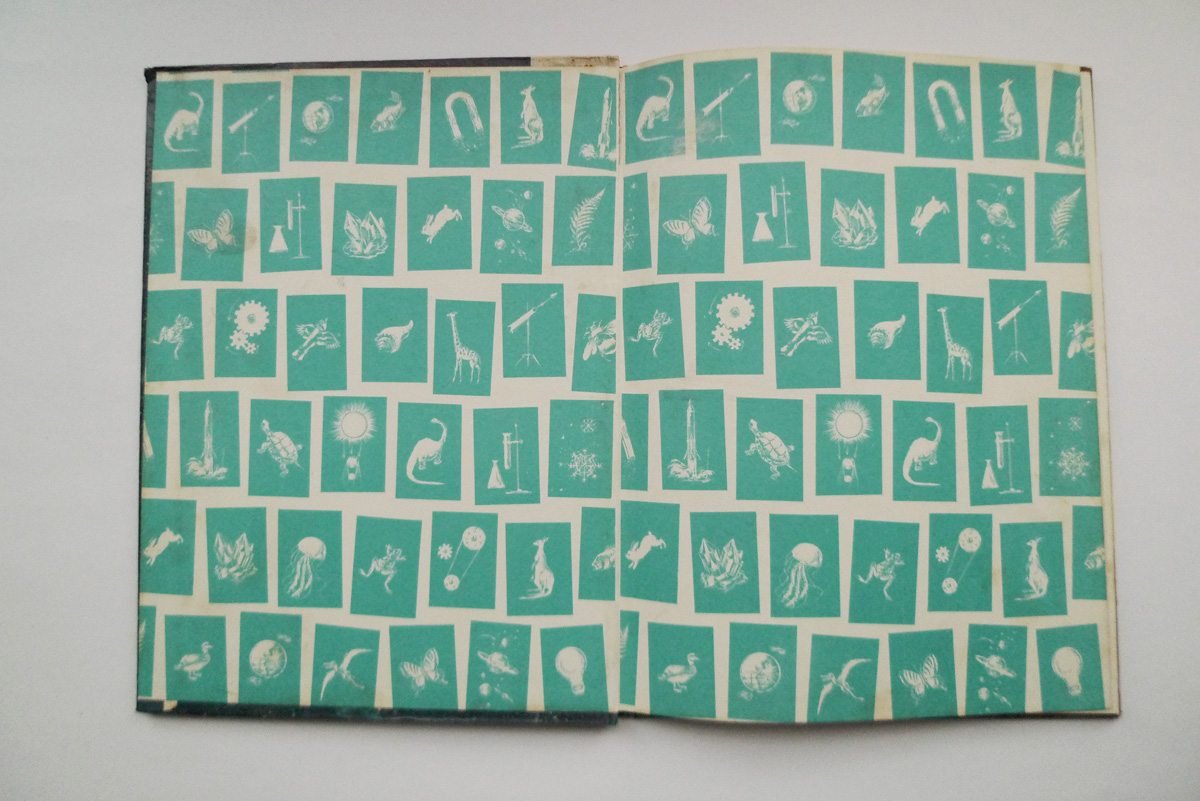 Robôs e cérebros eletrônicos