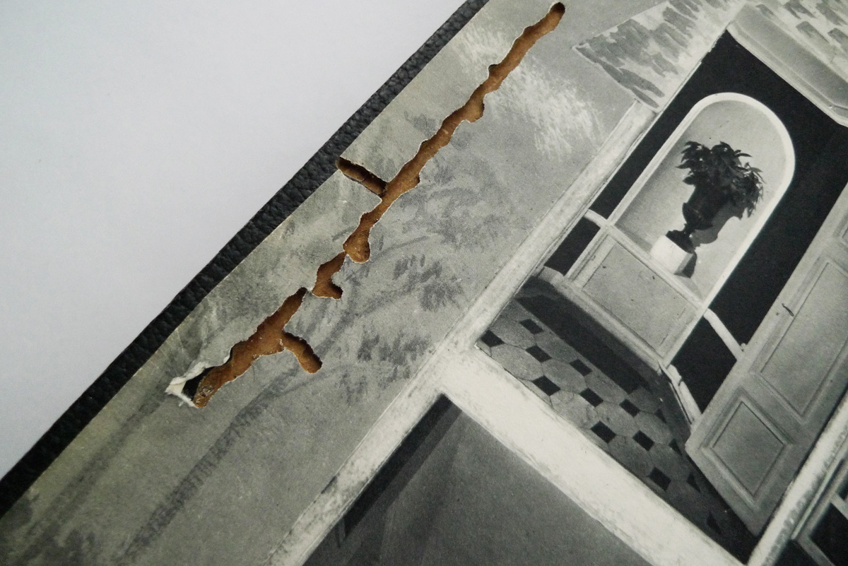 Nouveau Larousse Ménager