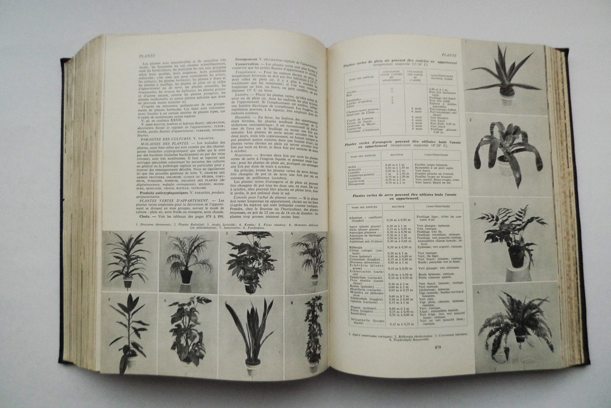 Nouveau Larousse Ménager