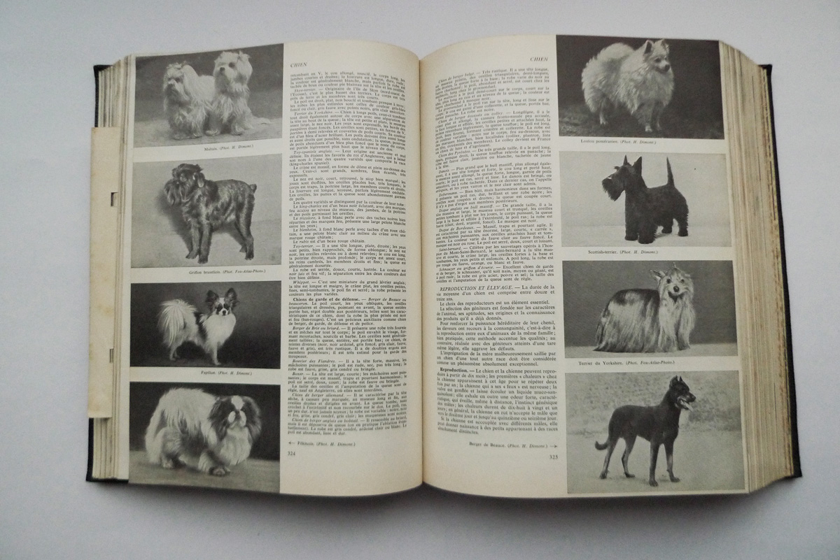 Nouveau Larousse Ménager