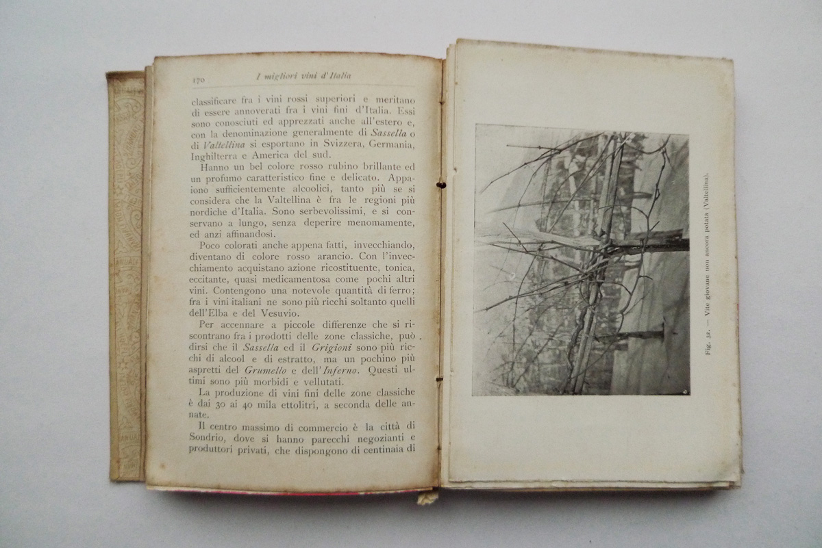 I Migliori Vini d´Italia