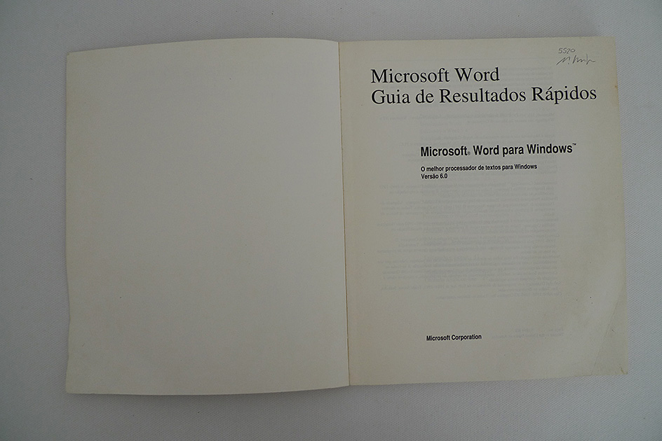 Microsoft WORD 6.0