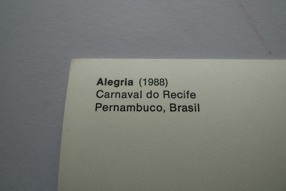 Markus Steiger; Alegria – Carnaval do Recife, Brasil