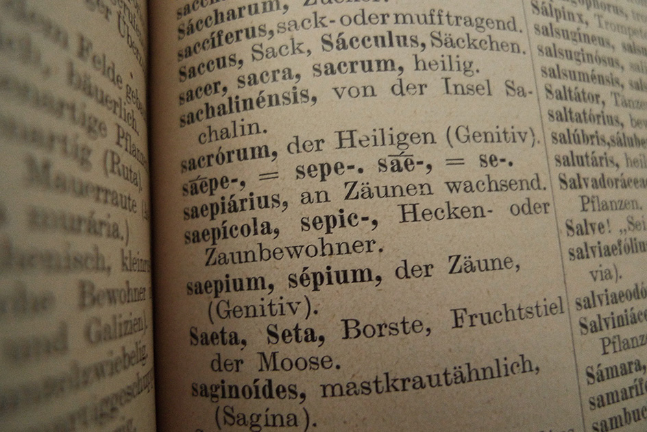 Botanisches und gärtnerisches Wörterbuch für Gärtner und Gartenfreunde